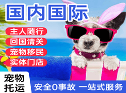 广元盘龙机场托运国际宠物托运 【国